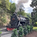 dollywood-parent-company-shuts-down-two-georgia-amusement-parks