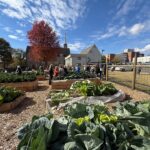 first-presbyterian-church-and-trellis-for-tomorrow-launch-community-garden