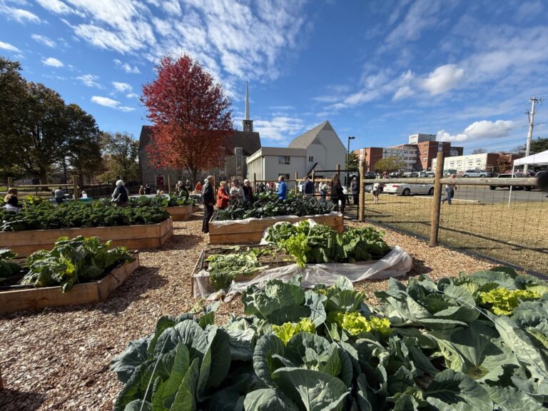 first-presbyterian-church-and-trellis-for-tomorrow-launch-community-garden