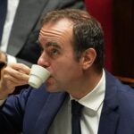 french-pm-se-bastien-lecornu-survives-critical-no-confidence-votes