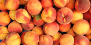 fresh-peaches-recalled-nationwide-due-to-listeria-risk