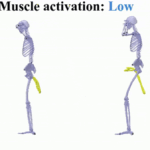 generative-ai-model-aims-to-revolutionize-athlete-injury-prevention