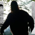 global-alliance-forms-to-investigate-legendary-creatures
