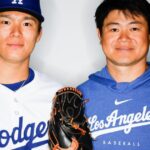 interpreter-s-lucky-boxers-spark-superstitions-for-world-series