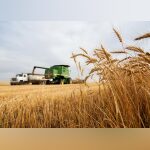 iowa-s-horticulture-sector-surges-in-2023-survey-results