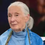 jane-goodall-s-impact-redefining-science-and-conservation