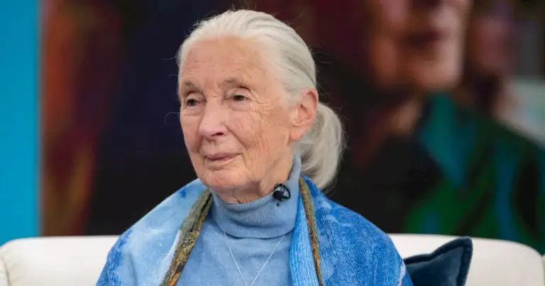jane-goodall-s-impact-redefining-science-and-conservation