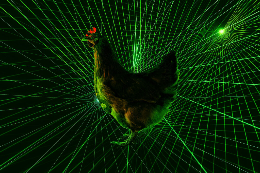 japanese-farmers-deploy-laser-drones-to-protect-chickens