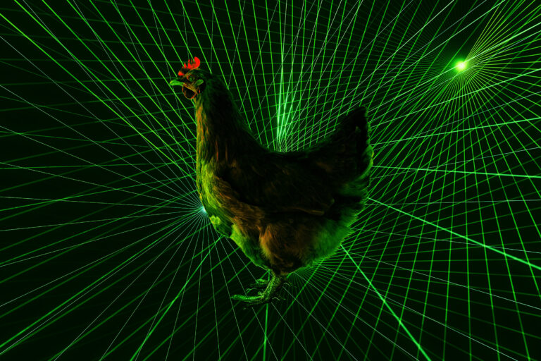 japanese-farmers-deploy-laser-drones-to-protect-chickens