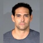 mark-sanchez-arrested-on-felony-assault-charge-after-brawl