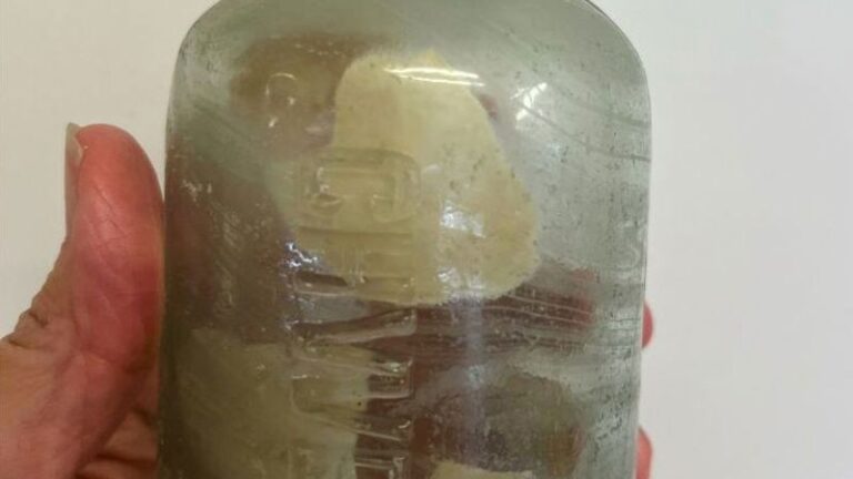 messages-in-bottles-from-wwi-soldiers-discovered-on-australian-beach