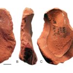 neanderthals-crafted-pigment-tools-for-artistic-expression