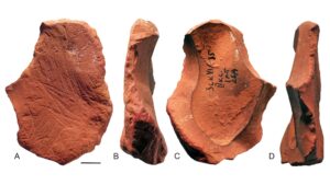 neanderthals-crafted-pigment-tools-for-artistic-expression
