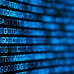 neb-s-customized-solutions-team-fuels-biotech-innovation-and-growth