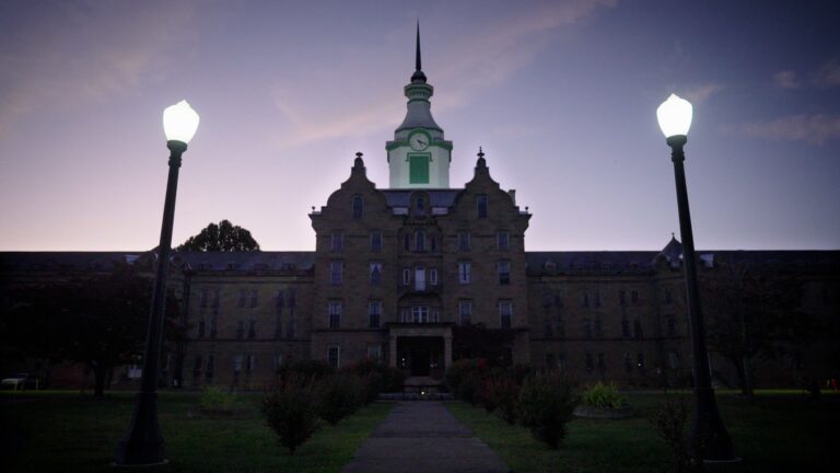 new-insights-on-sleep-virus-season-and-unexpected-love-stories