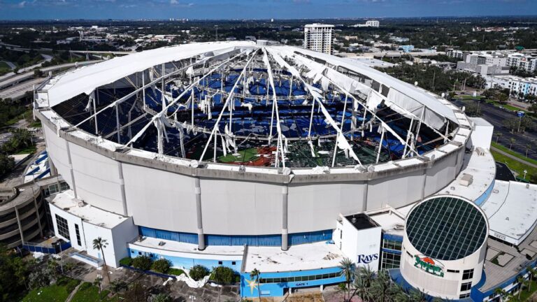 new-rays-owners-promise-urgent-repairs-seek-new-stadium-by-2029