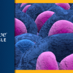 new-treatment-regimen-shows-promise-for-older-myeloma-patients