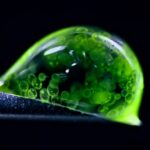nikon-s-photomicrography-competition-reveals-stunning-micro-worlds
