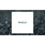 niobay-metals-shares-surge-24-2-is-it-time-to-invest-