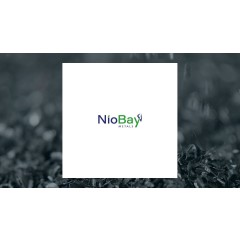 niobay-metals-shares-surge-24-2-is-it-time-to-invest-