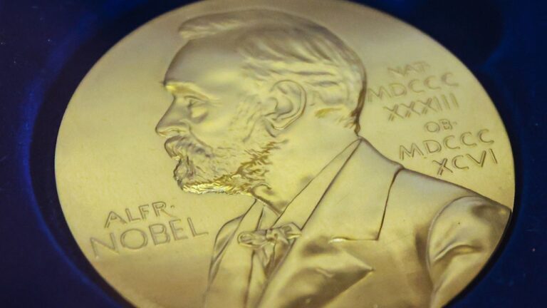 nobel-prize-in-chemistry-awarded-for-breakthrough-in-material-science