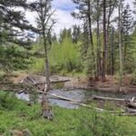 open-house-to-showcase-teanaway-river-restoration-efforts