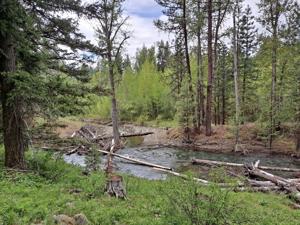 open-house-to-showcase-teanaway-river-restoration-efforts