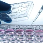 promocell-launches-gmp-grade-cell-culture-media-services