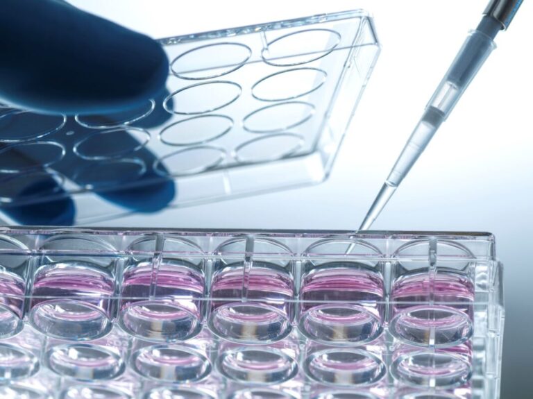 promocell-launches-gmp-grade-cell-culture-media-services