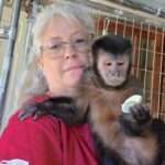 punta-gorda-firefighters-recognized-for-efforts-to-save-monkey