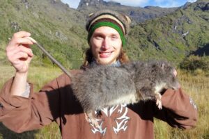 rediscovered-woolly-rat-thrives-in-new-guinea-after-30-years