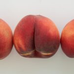researchers-confirm-butt-breathing-may-save-lives-in-lung-disease