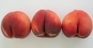 researchers-confirm-butt-breathing-may-save-lives-in-lung-disease