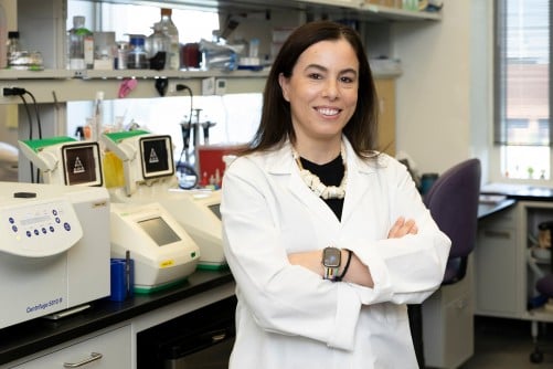 researchers-discover-key-protein-to-combat-aging-in-blood-cells