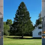rockefeller-center-christmas-tree-arrives-from-upstate-new-york
