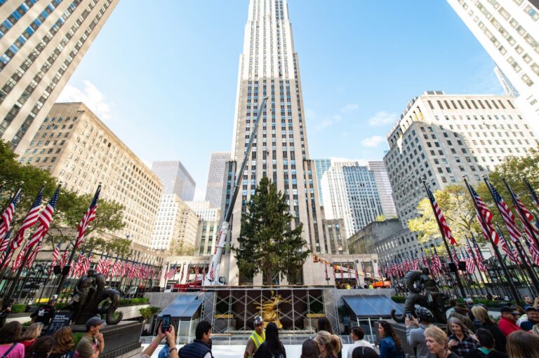 rockefeller-center-s-2025-christmas-tree-hails-from-east-greenbush