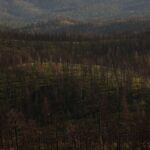 ruidoso-nm-faces-urgent-flood-crisis-after-deadly-torrential-rains