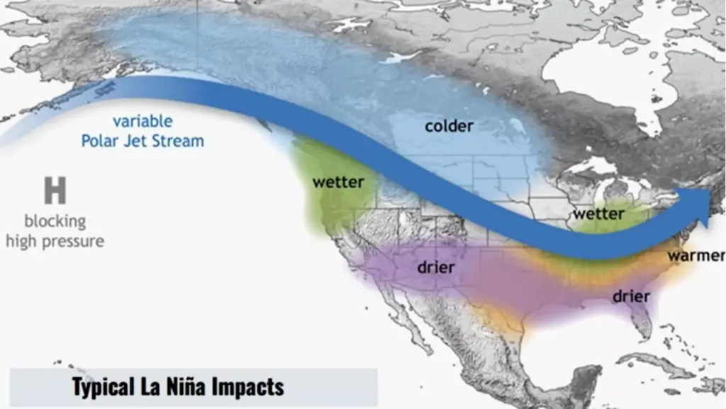 san-diego-delays-calfresh-benefits-for-395-000-amid-shutdown