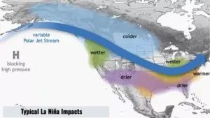 san-diego-delays-calfresh-benefits-for-395-000-amid-shutdown
