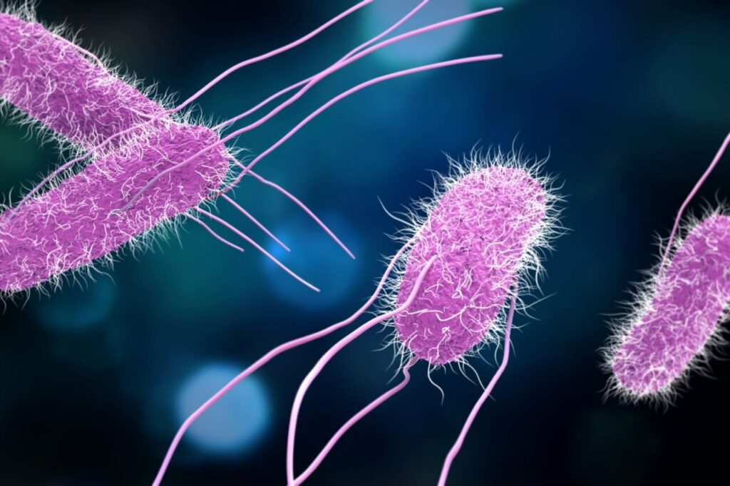 scientists-confirm-promising-vaccine-against-food-poisoning