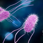 scientists-confirm-promising-vaccine-against-food-poisoning