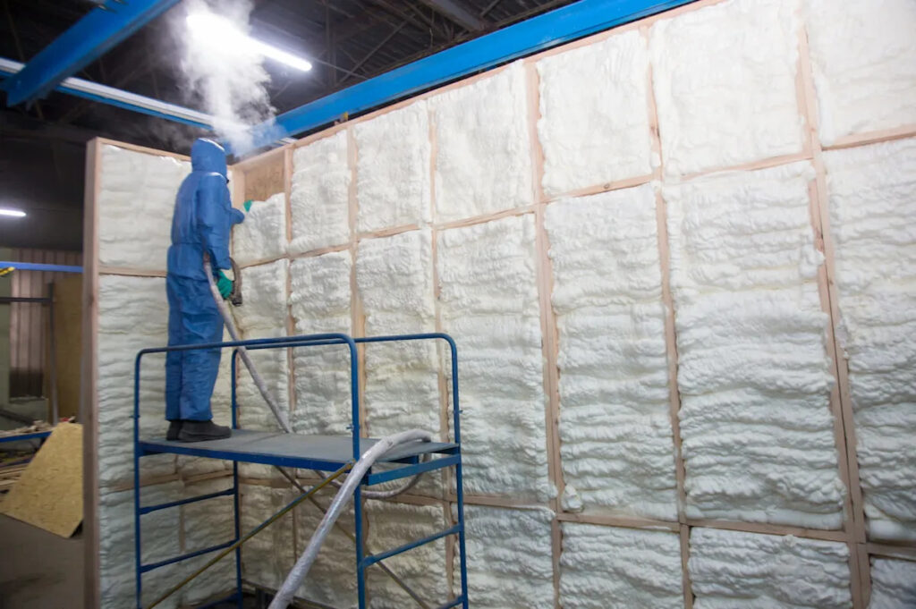 scientists-innovate-insulation-using-mushroom-mycelium-for-eco-friendly-building