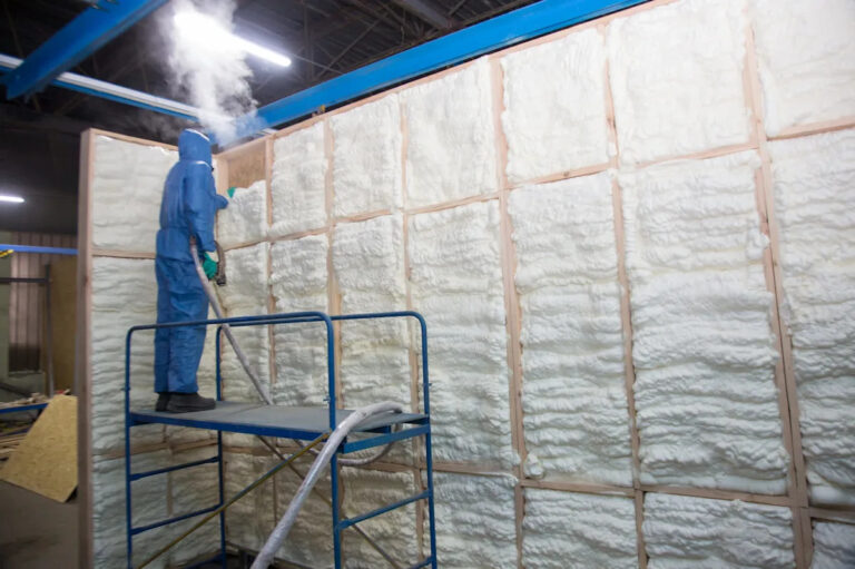 scientists-innovate-insulation-using-mushroom-mycelium-for-eco-friendly-building