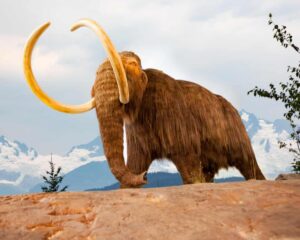scientists-uncover-ancient-life-through-revolutionary-dna-techniques