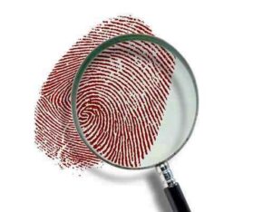 stay-alert-protect-yourself-from-social-media-spoofing-scams