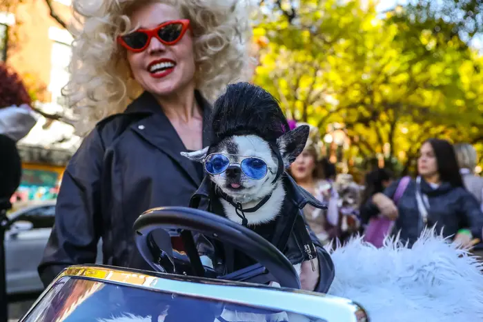 tompkins-square-halloween-dog-parade-celebrates-35-years-of-fun