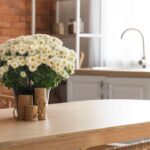 urgent-alert-grow-these-3-fall-flowers-indoors-now-for-color