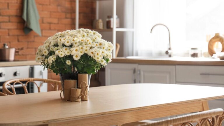 urgent-alert-grow-these-3-fall-flowers-indoors-now-for-color