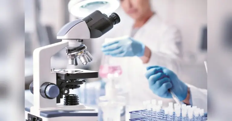 who-reports-alarming-rise-in-drug-resistant-bacteria-calls-for-urgent-action