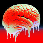 wikipedia-shields-brain-rot-page-from-edits-until-2026